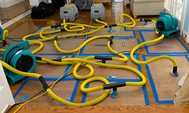 Professional Flood Damage Restoration technician working in Windsor, IL